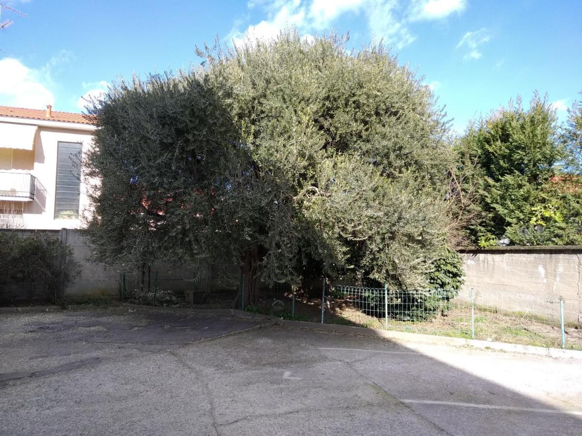 Appartamenti Olivo Vigevano Bagian luar foto